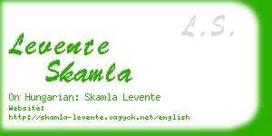 levente skamla business card
